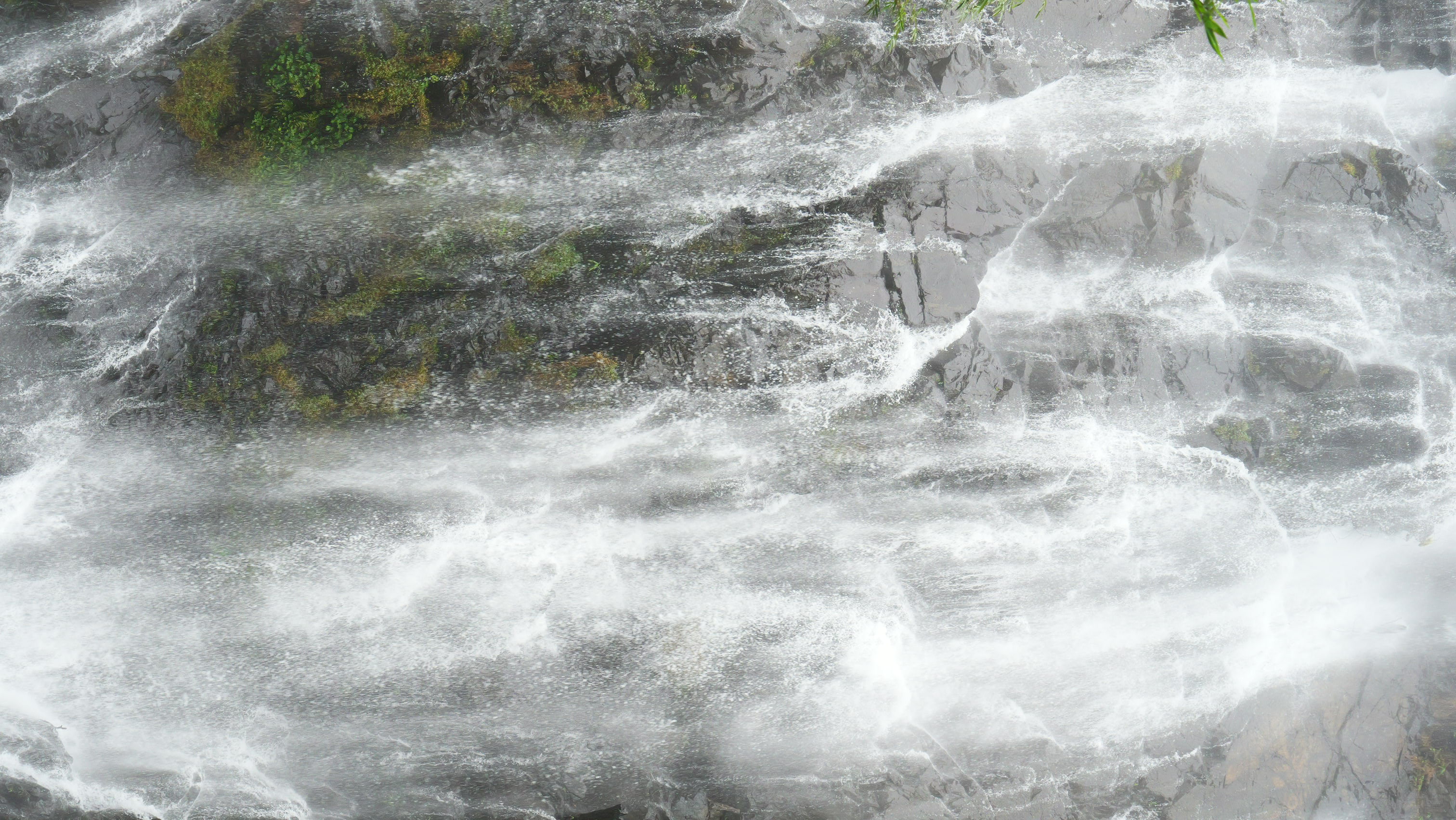 202312221703211026950336.jpg P1000497.JPG